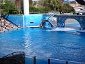 Sea World-88